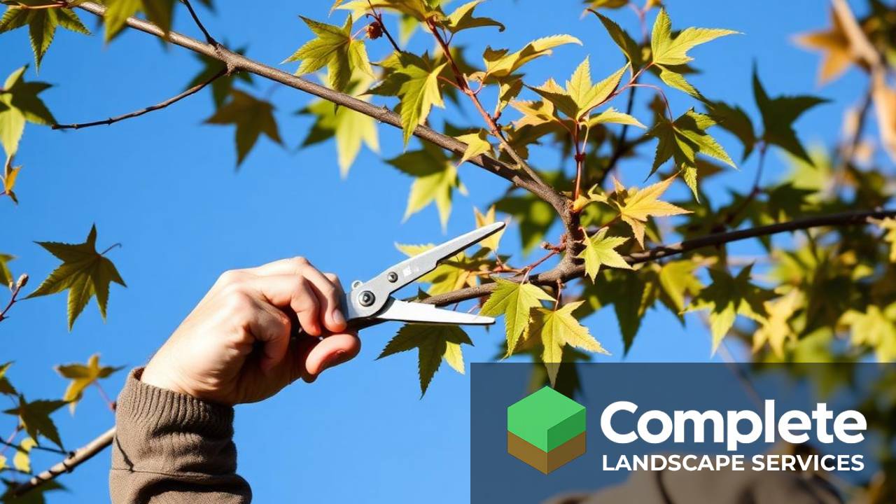 Arborist pruning a maple tree branch against a blue sky